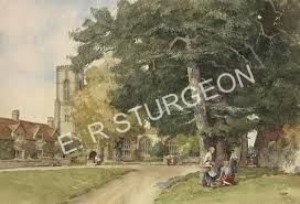 Image result for Curry Rivel Cc