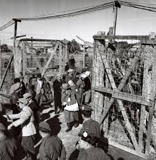 Image result for Derkawi Holocaust