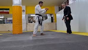 Image result for Goshin Ryu Atemi JuJitsu