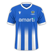 Image result for East Grinstead Town Football Club