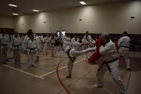 Image result for Parkgate Taekwondo Club