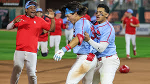 Image result for Springfields Badminton Club