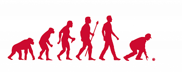 Image result for Combe Martin Bowling Club