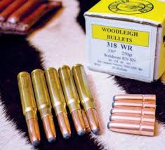 Image result for Barnsley Bullets