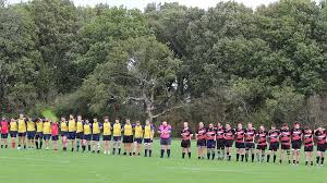 Image result for Crawley Rugby Club