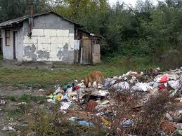 Image result for romska osada