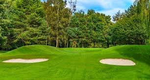 Image result for Spalding & District Gc