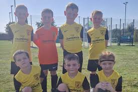 Image result for Milton Keynes Village Community Sports Club