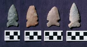 Image result for SEM micrographs of Novaculite Arkansas