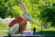 Wonderland'-themed exhibit to open at New York Botanical Garden