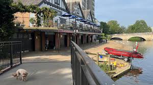 Image result for Bedford Rowing Club
