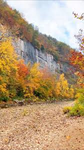 Image result for $$fall_akte__ort$$