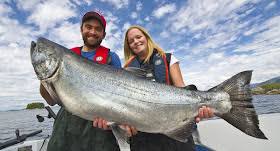 Image result for Oncorhynchus tshawytscha