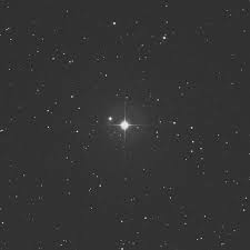 Image result for Cancer borealis