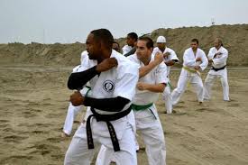 Image result for Sandokai Karate