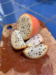 Attēlu rezultāti vaicājumam “Cynosurus cristatus fruit”