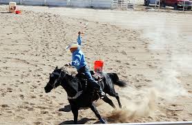Image result for Kings Ranch Riding School/Club