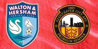 Image result for Walton & Hersham Football Club