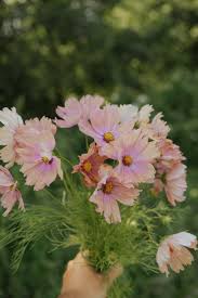 Image result for Schmuckkörbchen