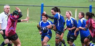 Image result for Haverfordwest Rugby Football Club