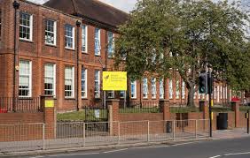 Image result for Selsdon Netball Club