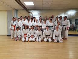 Image result for TIVERTON SHOTOKAN KARATE CLUB
