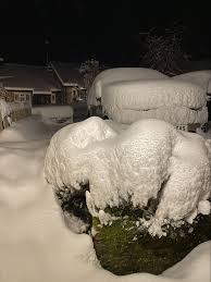 Image result for Skiing and Boarding at Allenheads