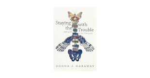 Image result for Sfânta Waltrude