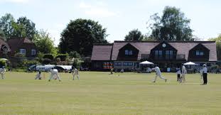 Image result for Shenley Village Cricket Club