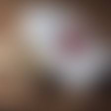 Image result for Southend Judo Club