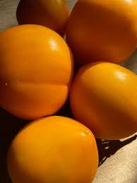 Afbeeldingsresultaat voor anna russian tomato