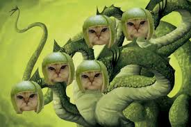 Image result for limecat