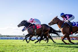 Image result for Woodhill Riding Club