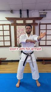 Image result for Zen Shin Seicho Do Adult Karate