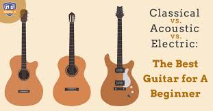 Image result for guitar
