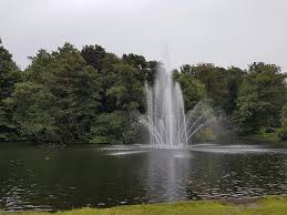 Image result for sonsbeek park