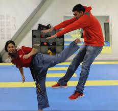 Image result for Surrey Taekwondo