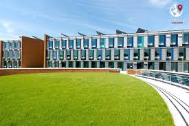 Image result for University Of Sussex