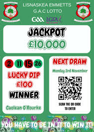 Image result for Lisnaskea Emmetts Gfc