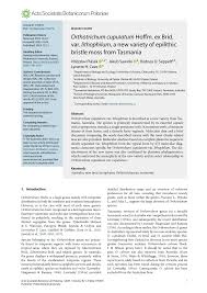 Attēlu rezultāti vaicājumam “Orthotrichum cupulatum var. riparium”