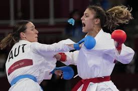 Image result for Sandokai Karate