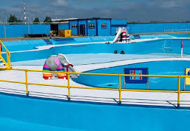 Image result for Gillingham Turbos Swimming Club