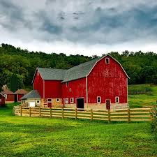 Image result for Braveheart Fencing