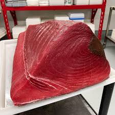 Image result for giant tuna