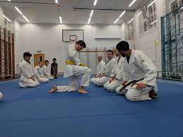 Image result for Reading World Ju-jitsu Club