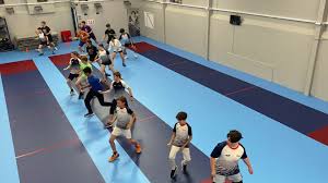 Image result for Stort Valley Sabre Club