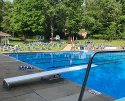 Image result for Buntingford Swimming Club