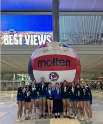 Image result for York University Volleyball Club