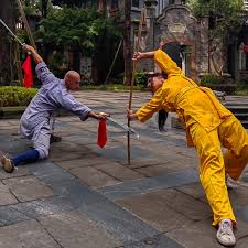 Image result for kung fu