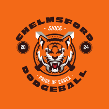 Image result for Berkshire Royals Dodgeball Club